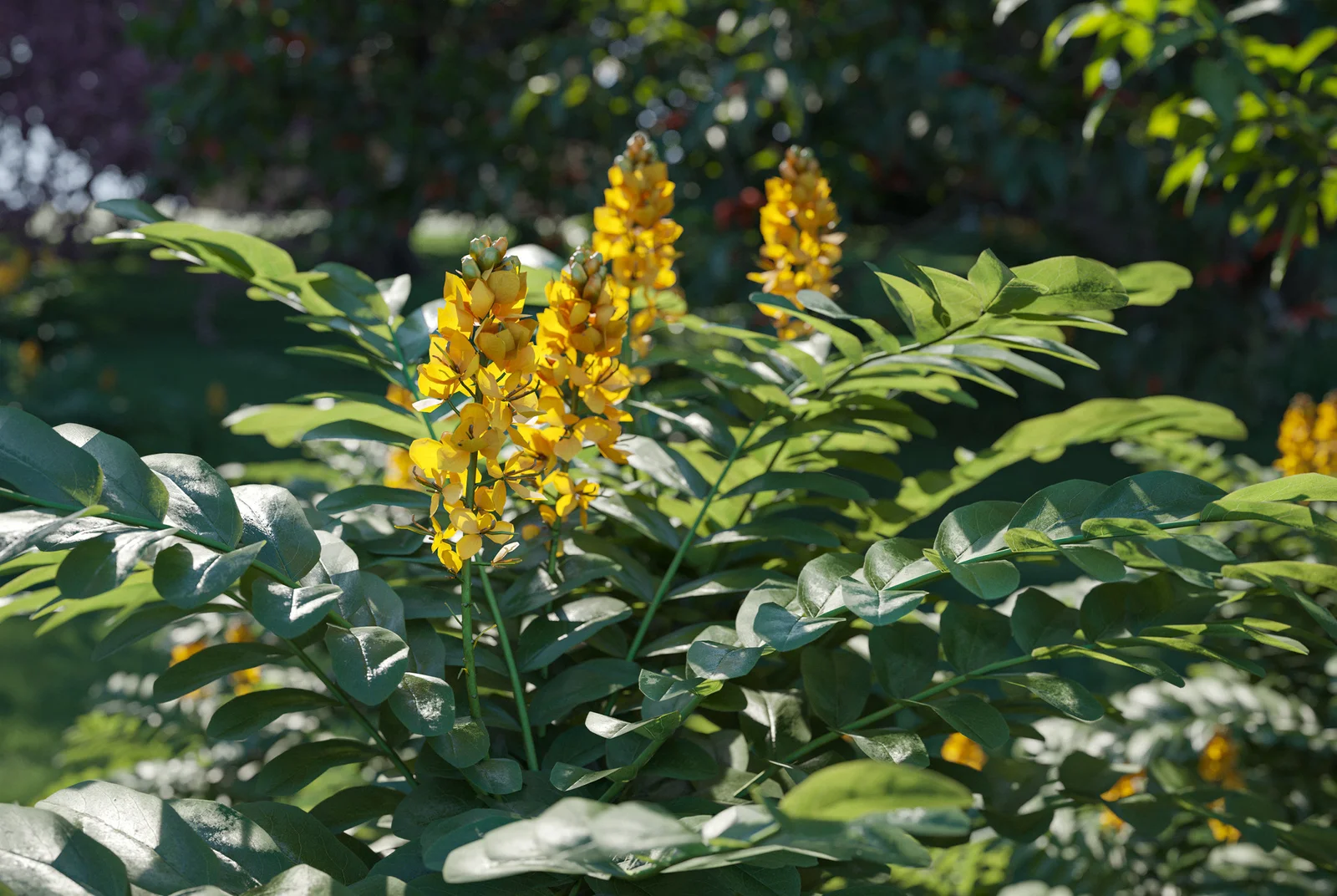 Plant Models Vol 38 screenshot 3