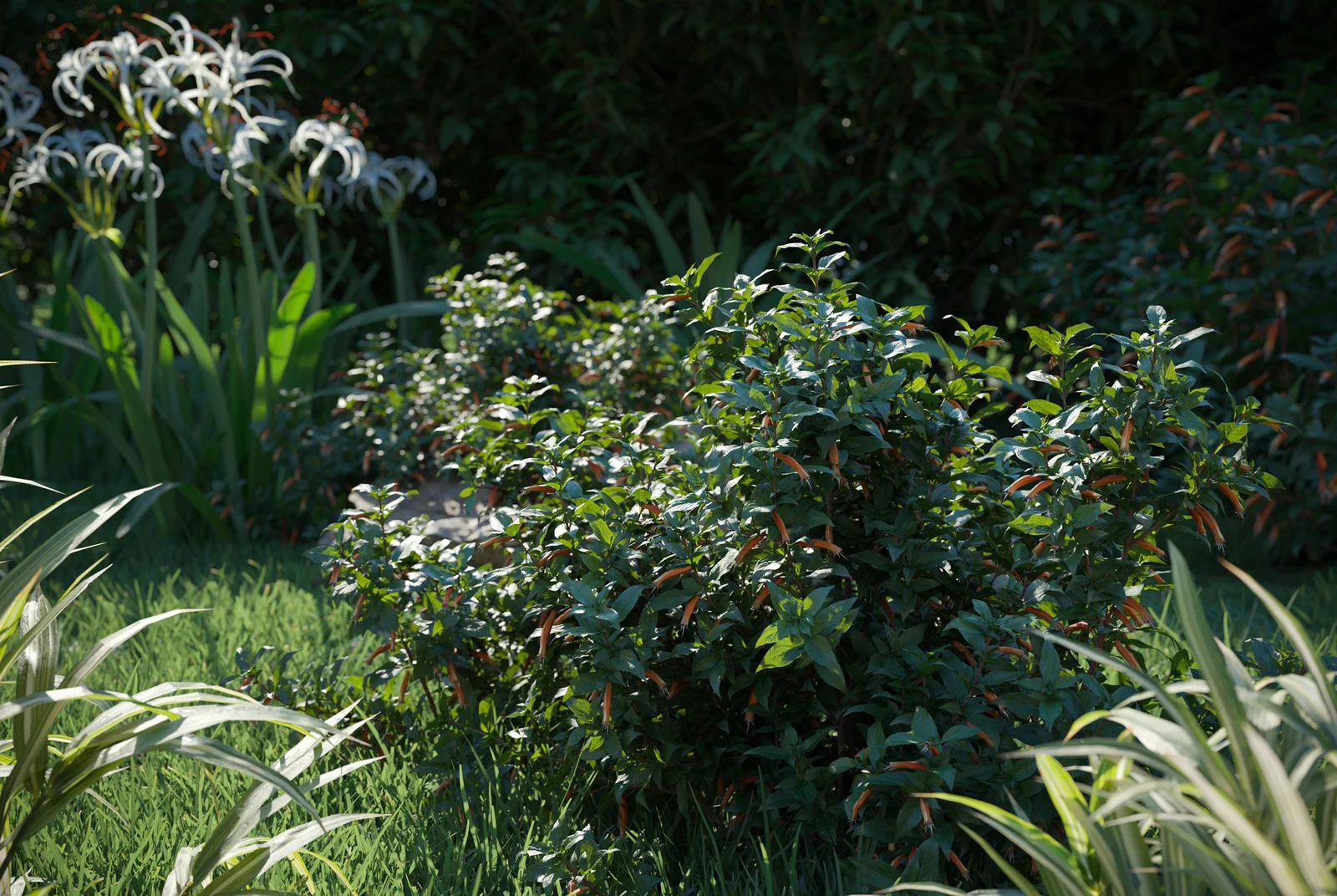 Plant Models Vol 38 screenshot 5