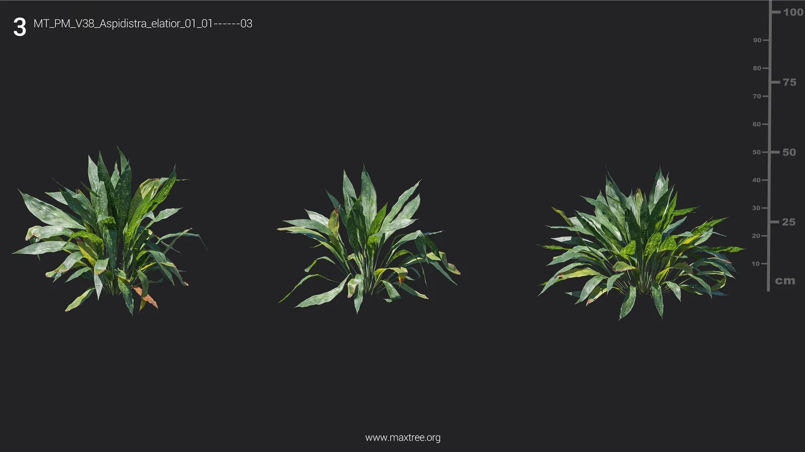 Plant Models Vol 38 screenshot 7