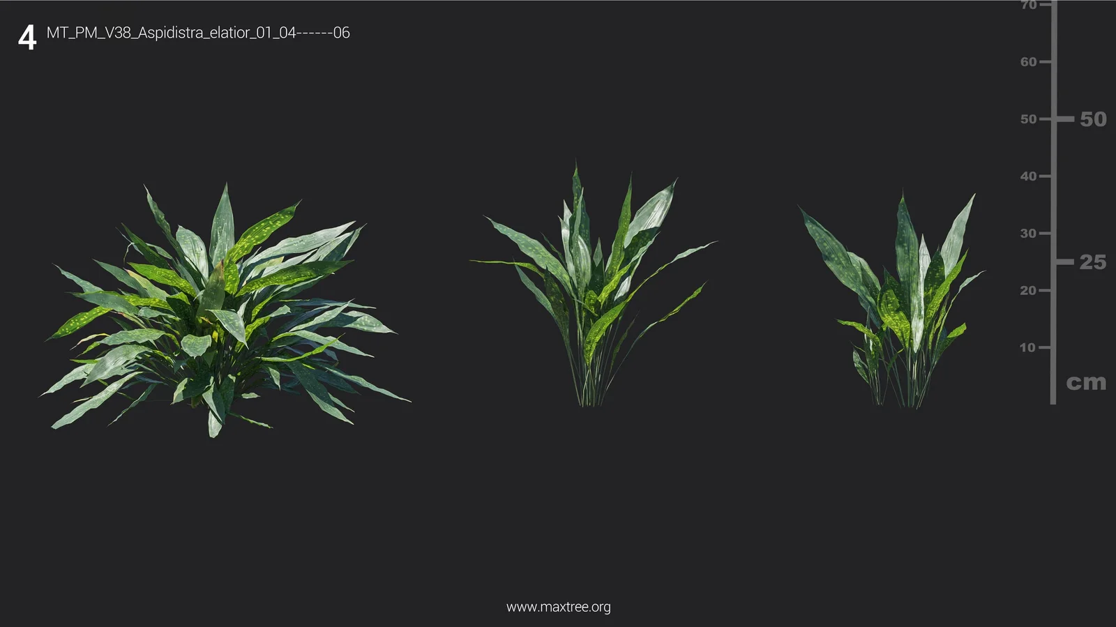 Plant Models Vol 38 screenshot 8