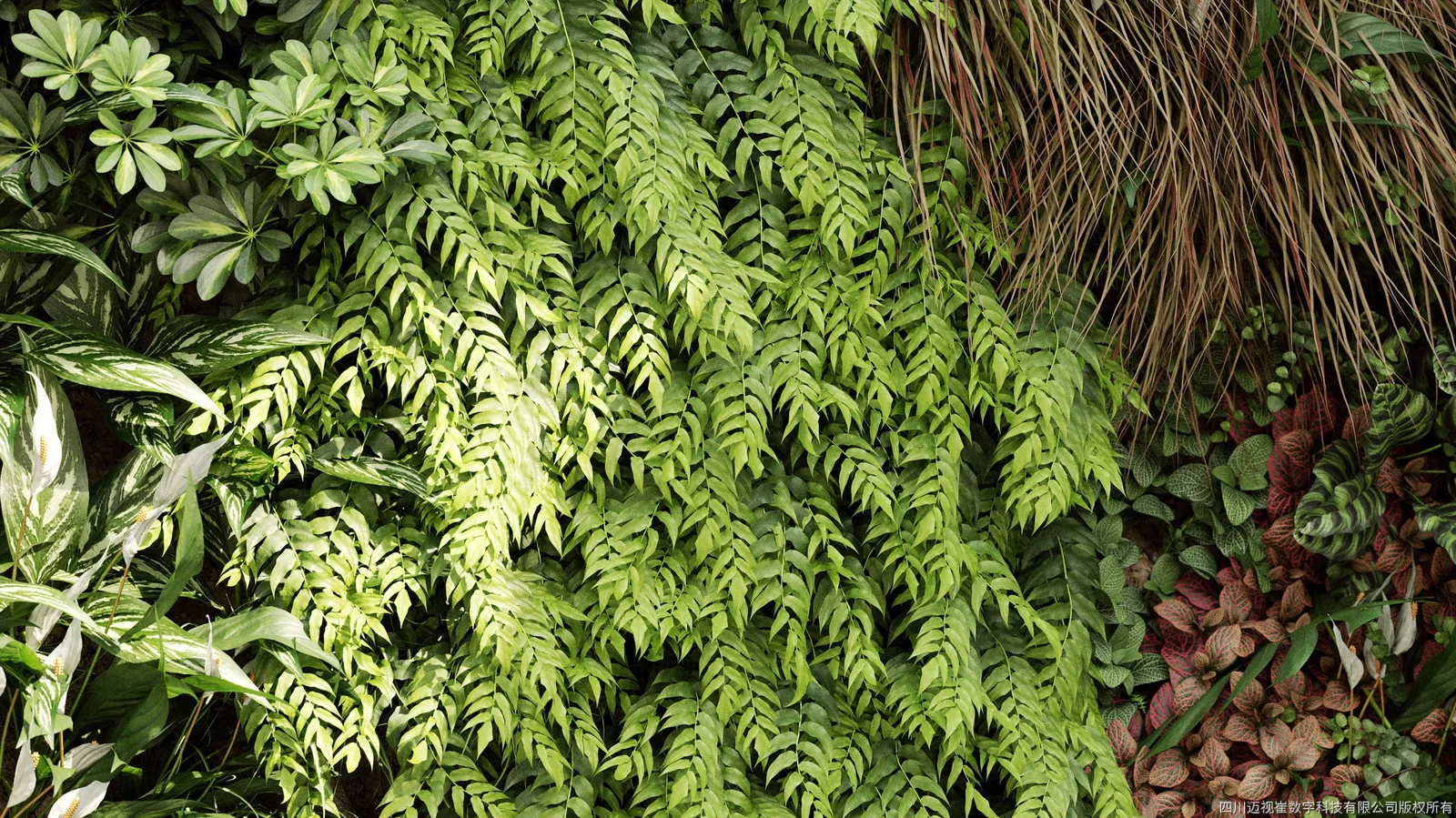 Maxtree Plant Models Vol 4 screenshot 2