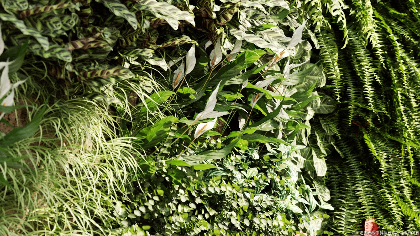 Maxtree Plant Models Vol 4 screenshot 3