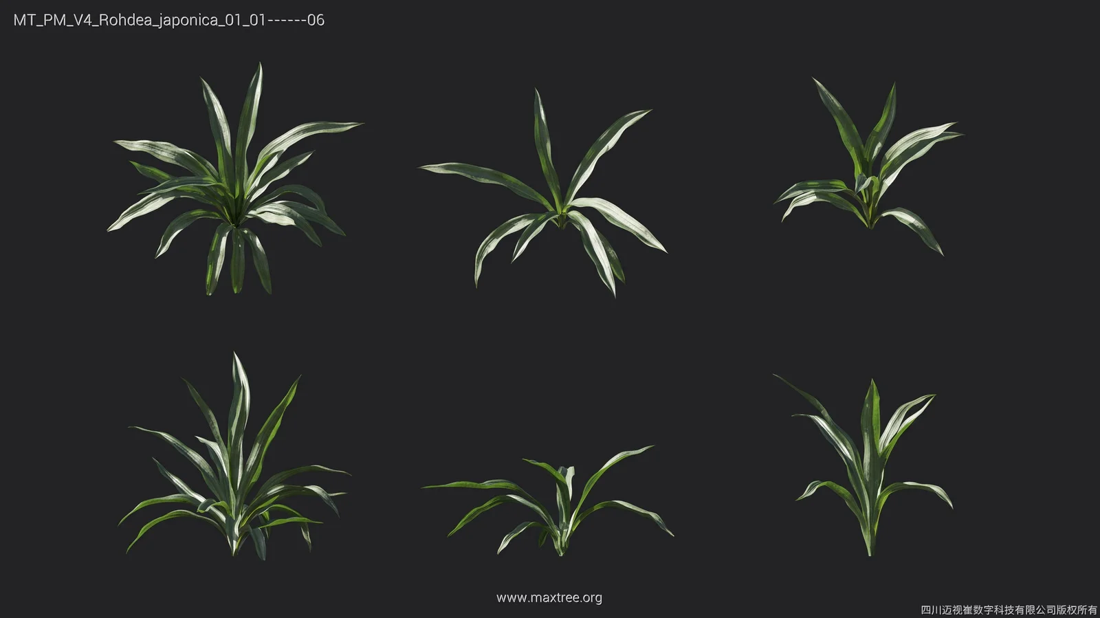 Maxtree Plant Models Vol 4 screenshot 5