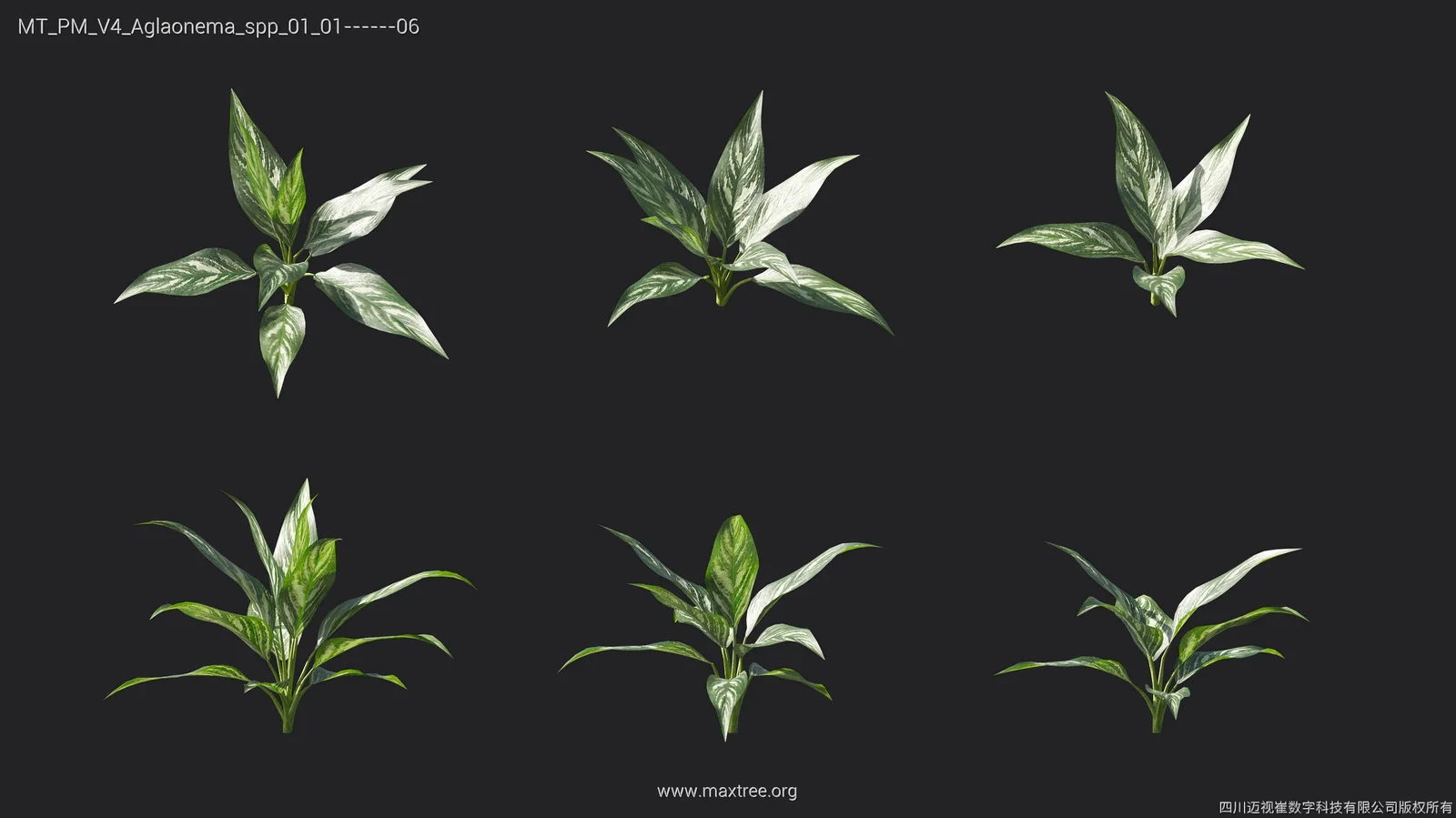 Maxtree Plant Models Vol 4 screenshot 6