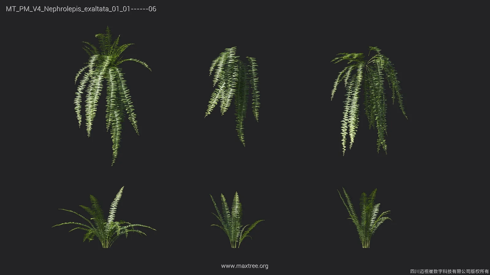 Maxtree Plant Models Vol 4 screenshot 8