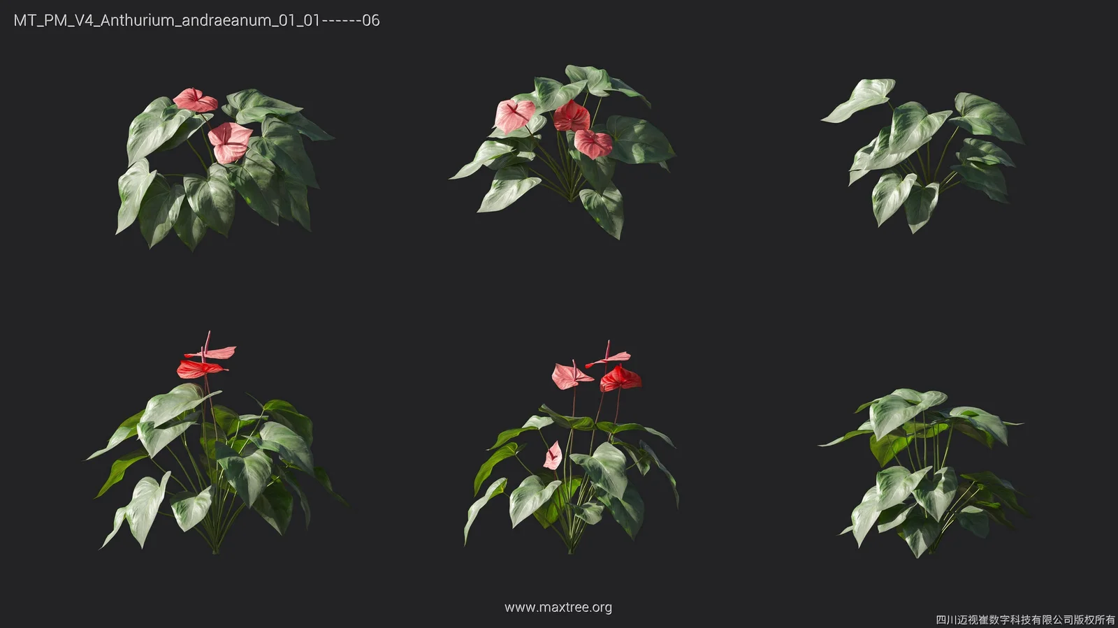 Maxtree Plant Models Vol 4 screenshot 9