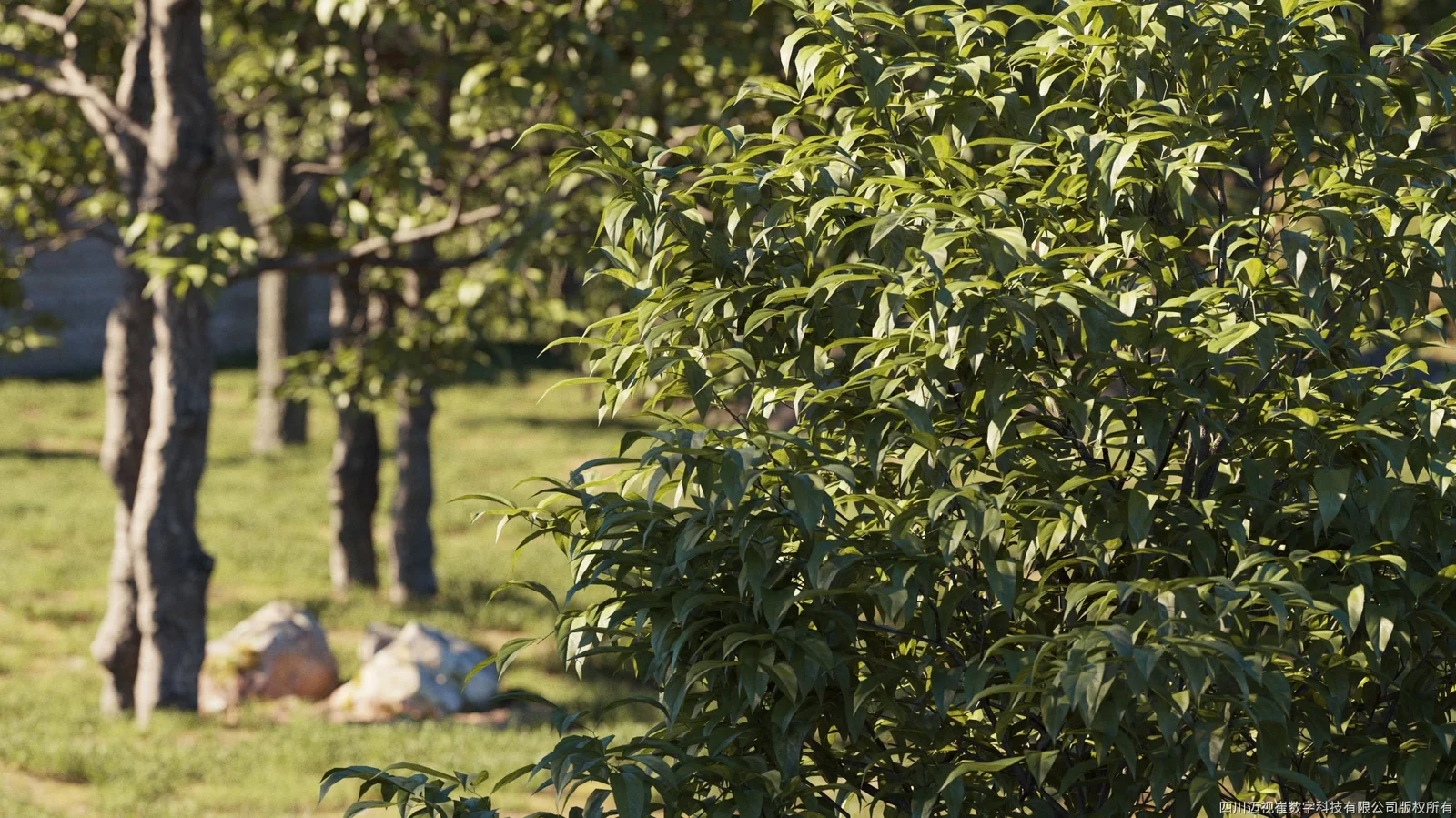 Maxtree Plant Models Vol 5 screenshot 2