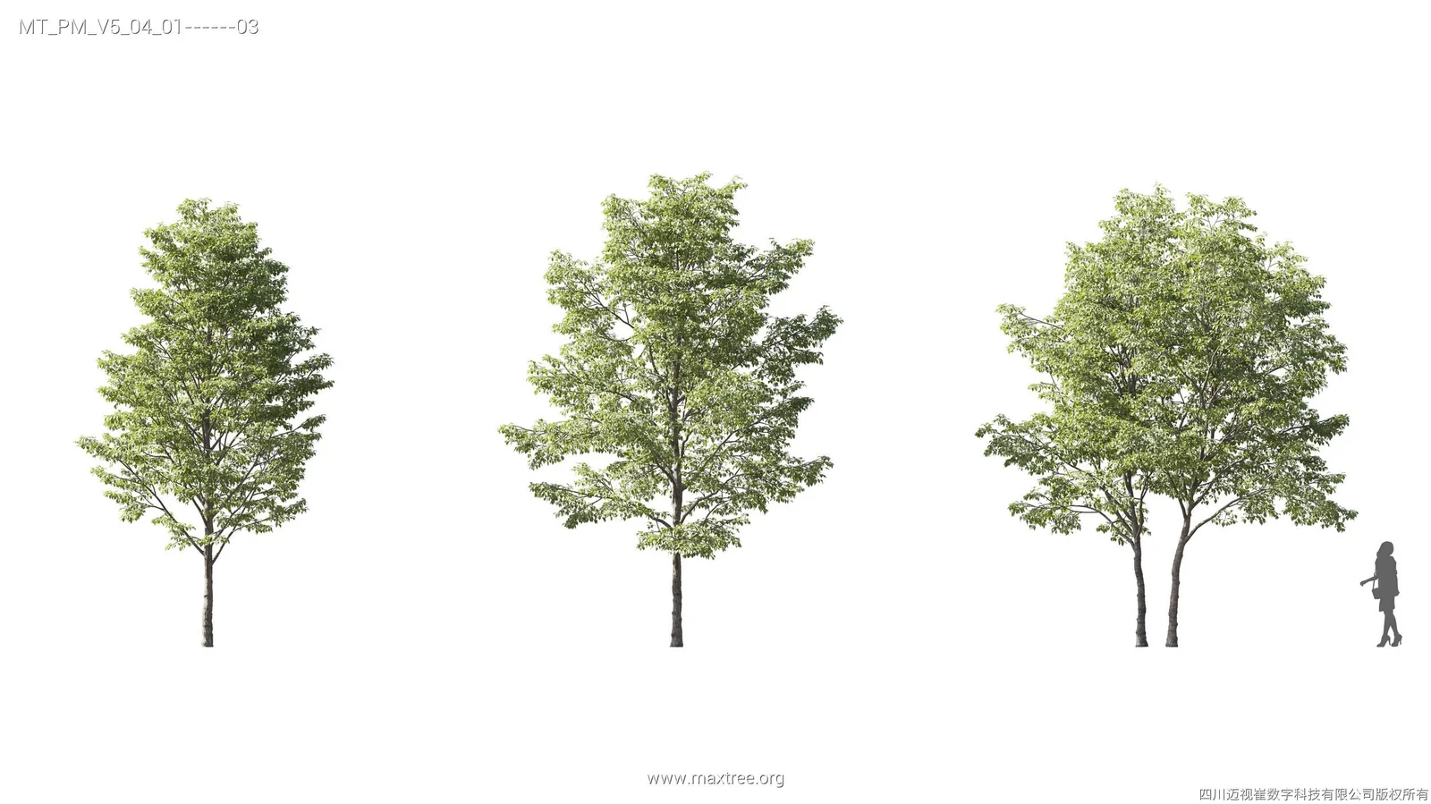 Maxtree Plant Models Vol 5 screenshot 5