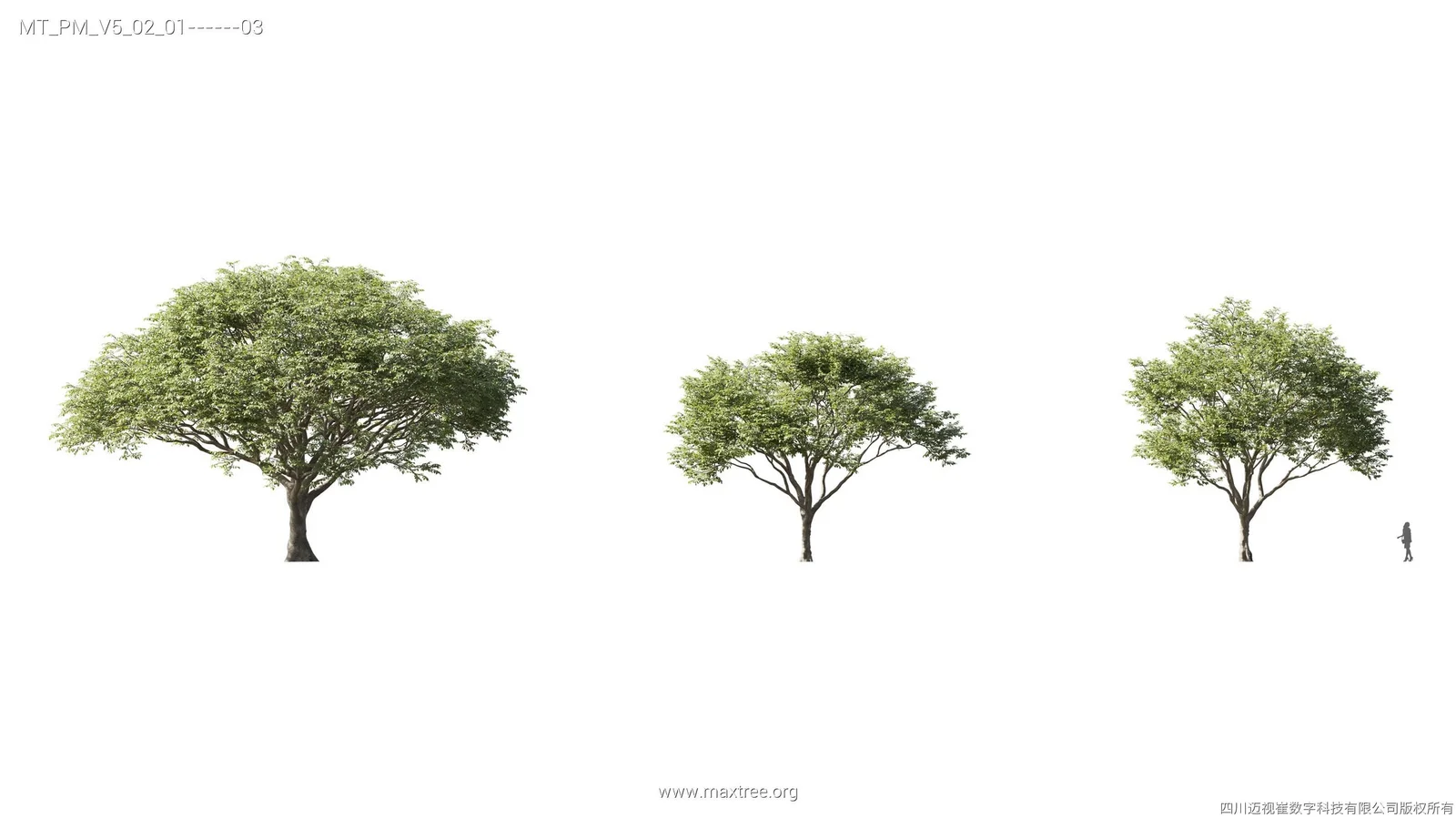 Maxtree Plant Models Vol 5 screenshot 6