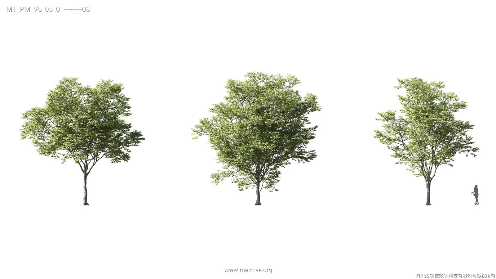 Maxtree Plant Models Vol 5 screenshot 7