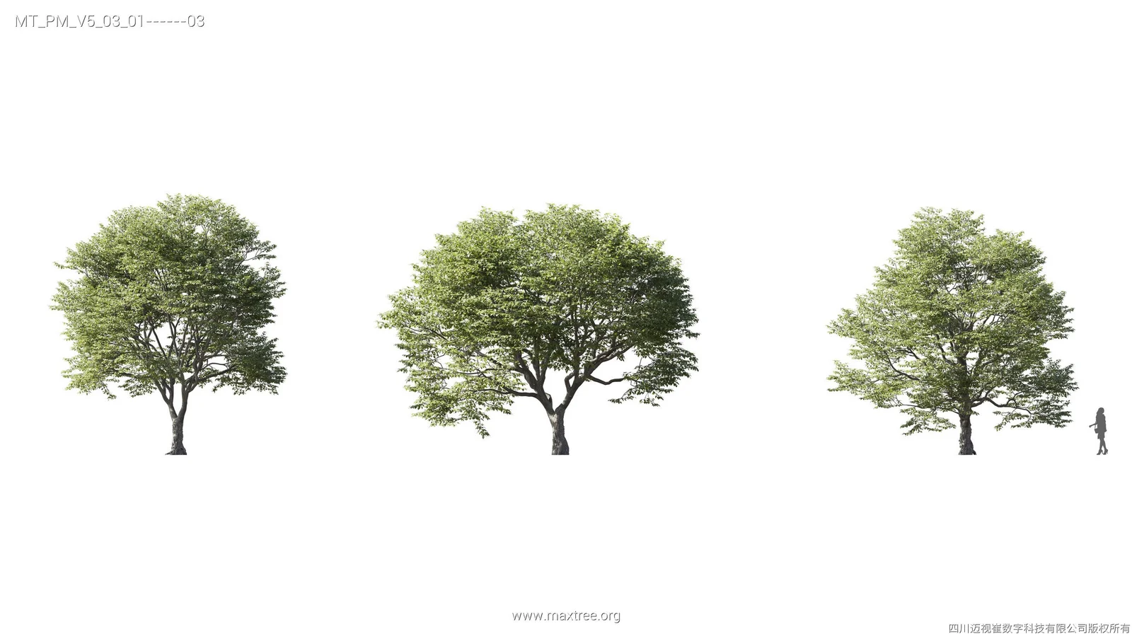 Maxtree Plant Models Vol 5 screenshot 8