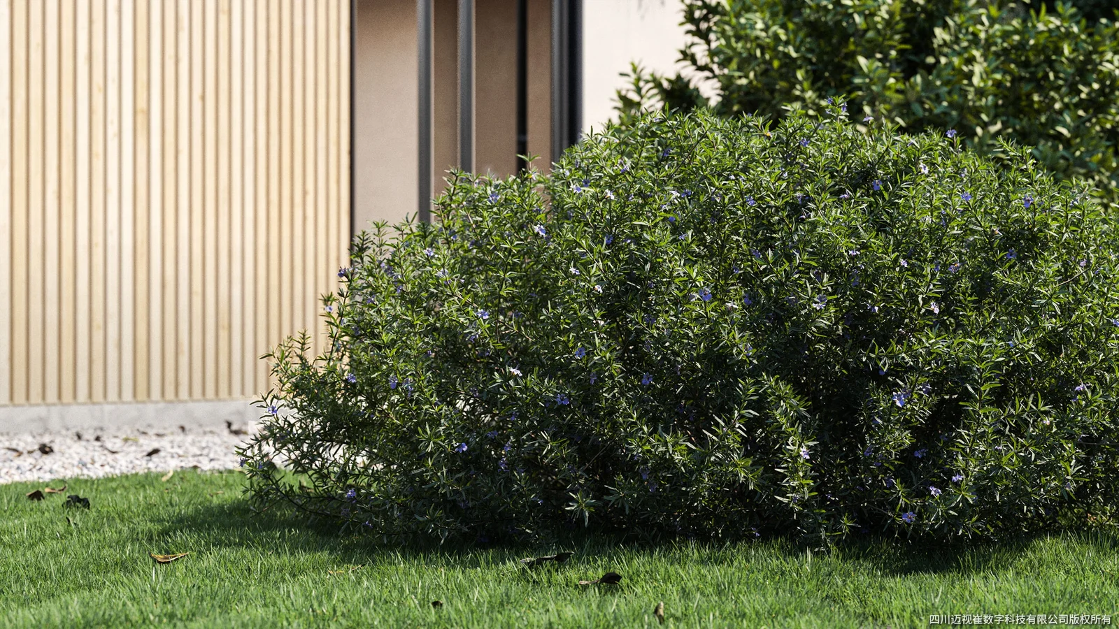 Plant Models Vol 56 screenshot 4