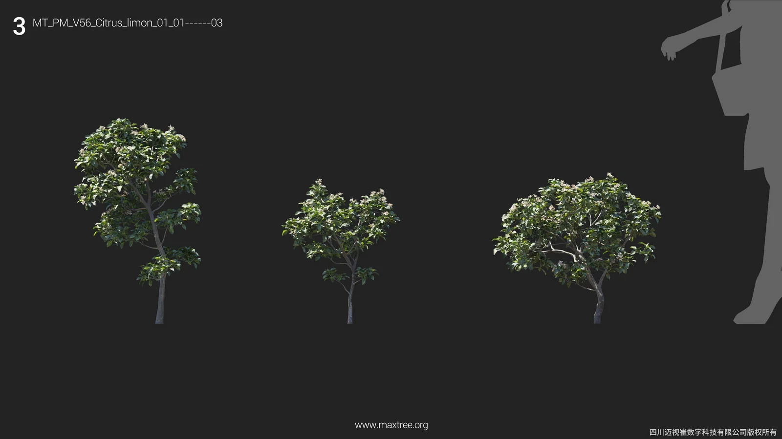 Plant Models Vol 56 screenshot 6
