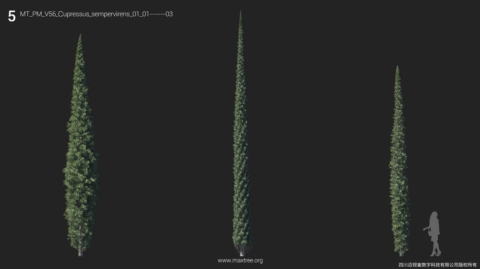 Plant Models Vol 56 screenshot 7