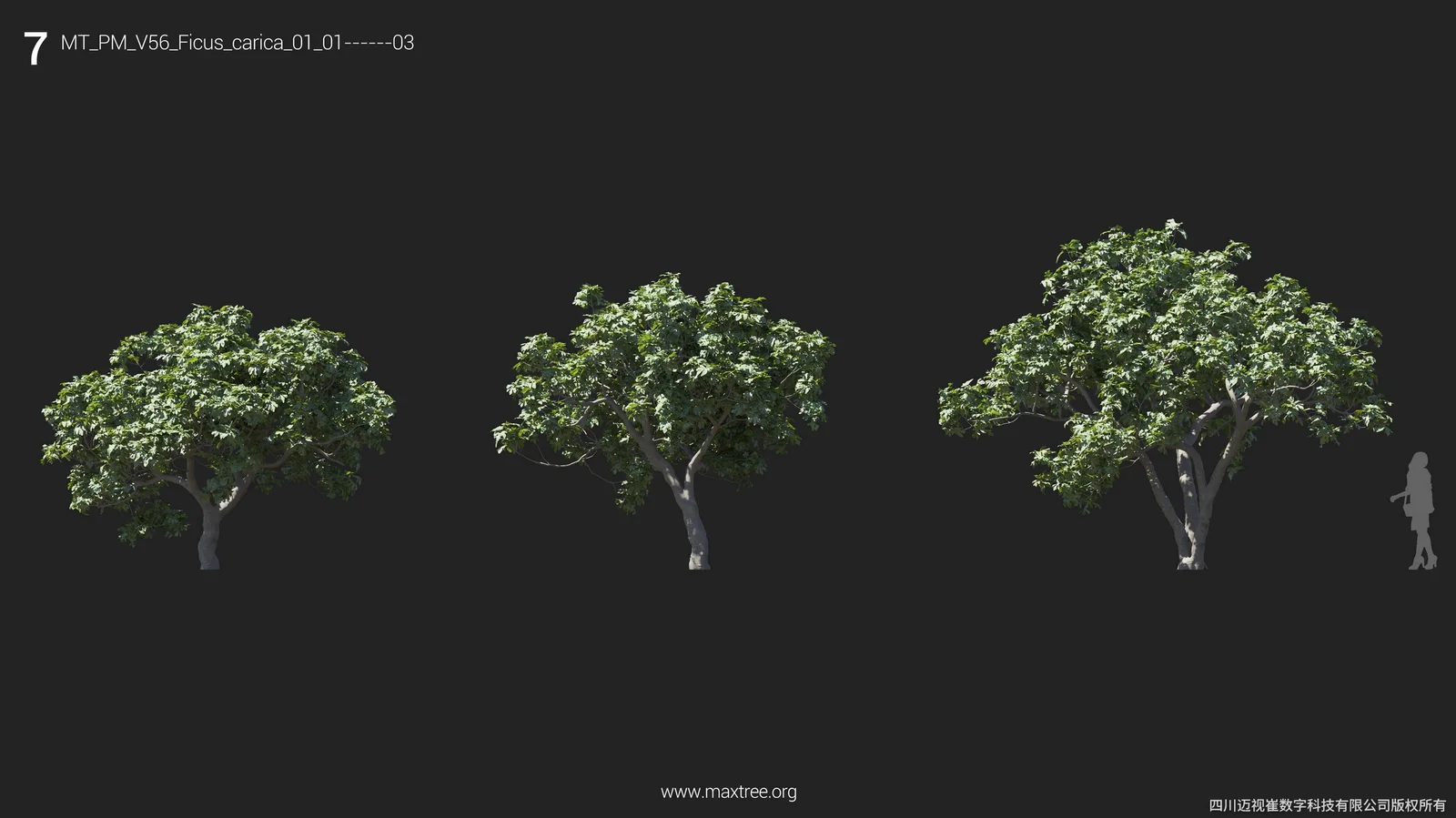 Plant Models Vol 56 screenshot 8