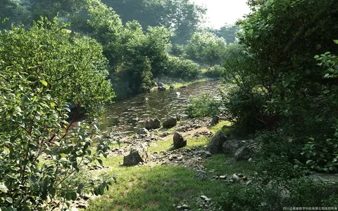 Maxtree Plant Models Vol 6 - Blender 3d models