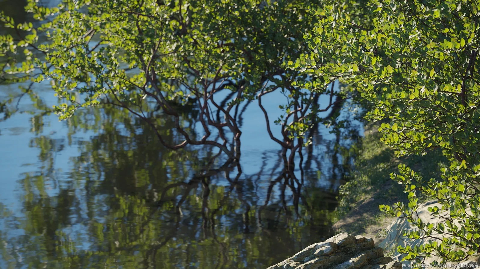 Maxtree Plant Models Vol 6 screenshot 2