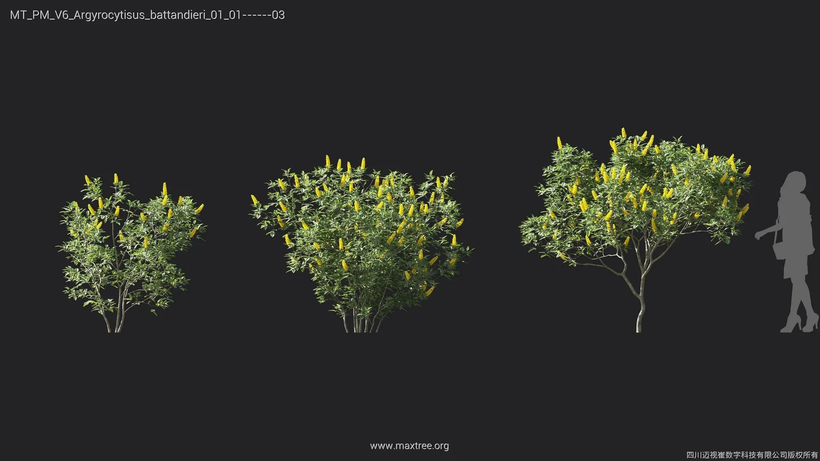 Maxtree Plant Models Vol 6 screenshot 4