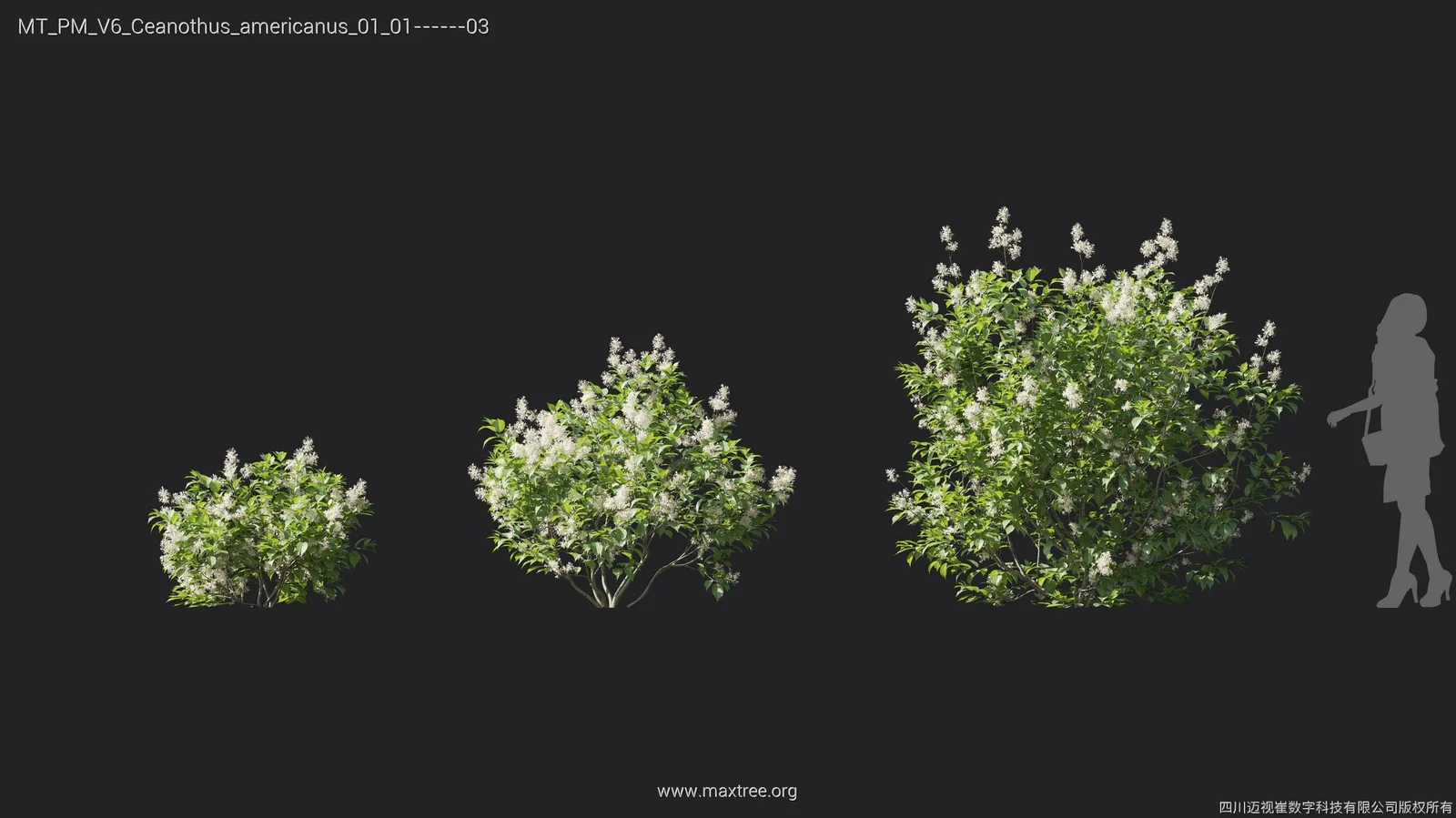 Maxtree Plant Models Vol 6 screenshot 5