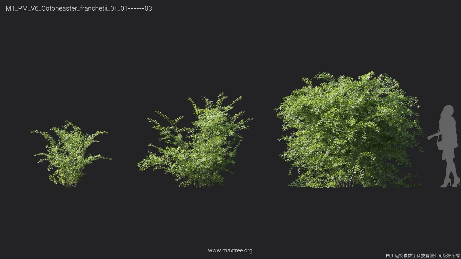 Maxtree Plant Models Vol 6 screenshot 6