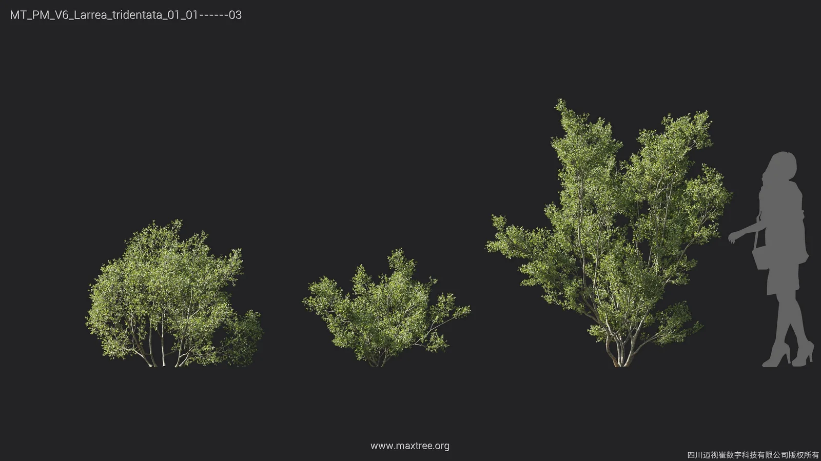 Maxtree Plant Models Vol 6 screenshot 7