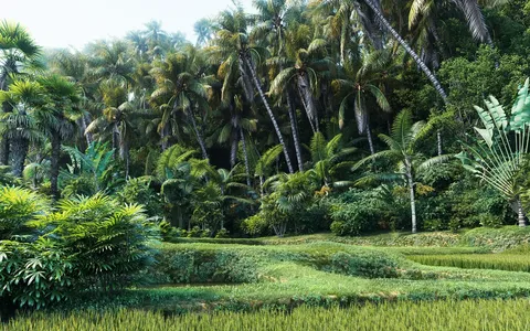 Plant Models Vol 7 - Blender 3d models