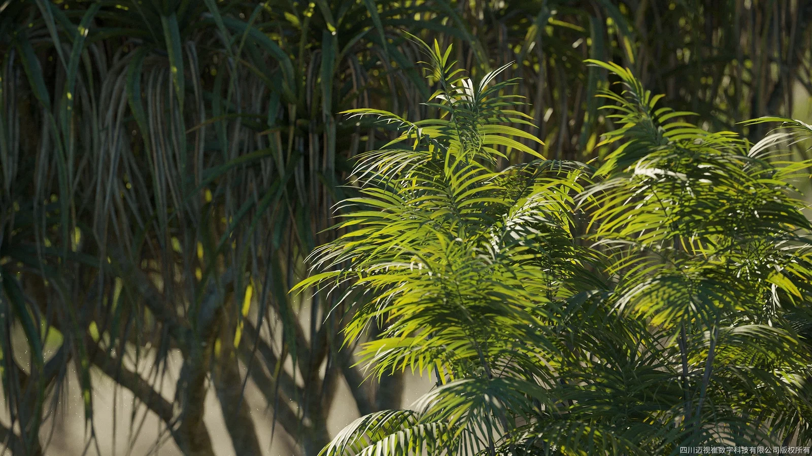 Plant Models Vol 7 screenshot 2