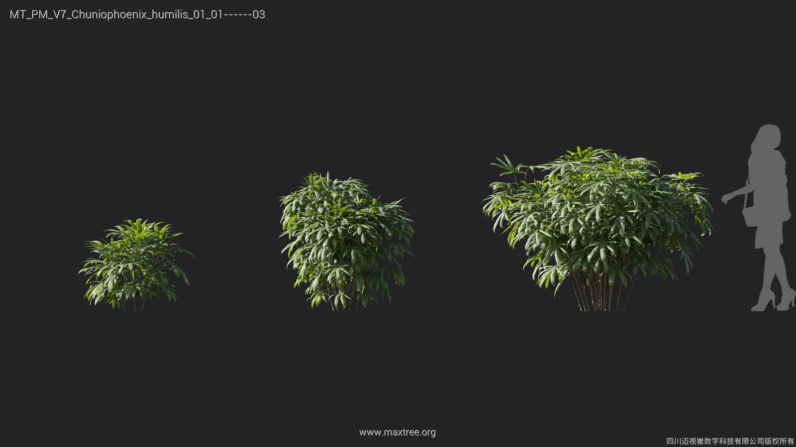 Plant Models Vol 7 screenshot 4