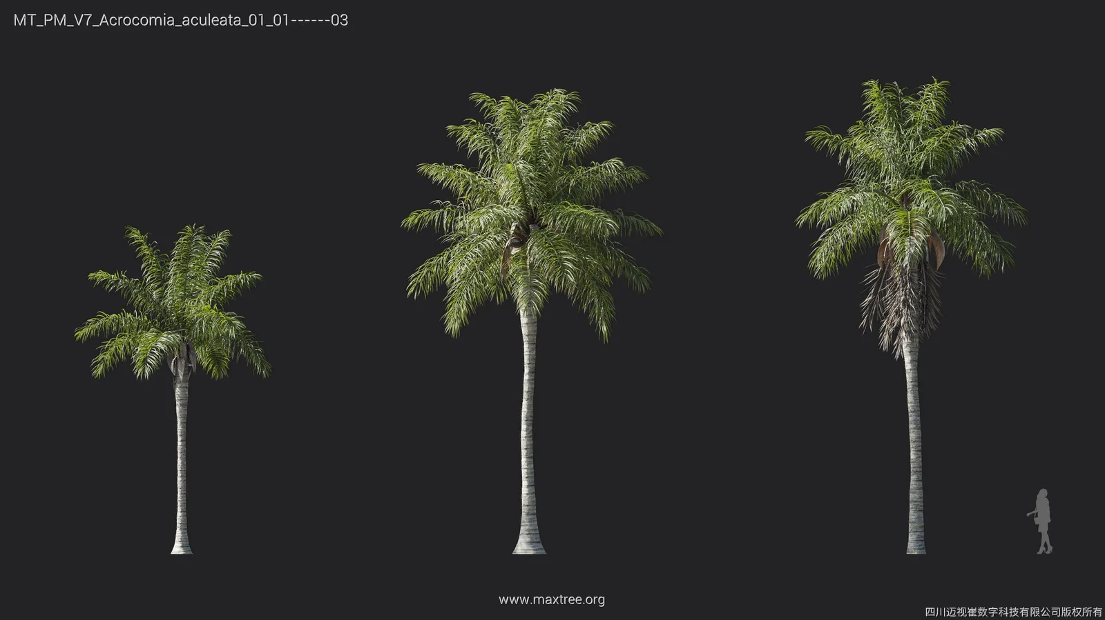 Plant Models Vol 7 screenshot 5