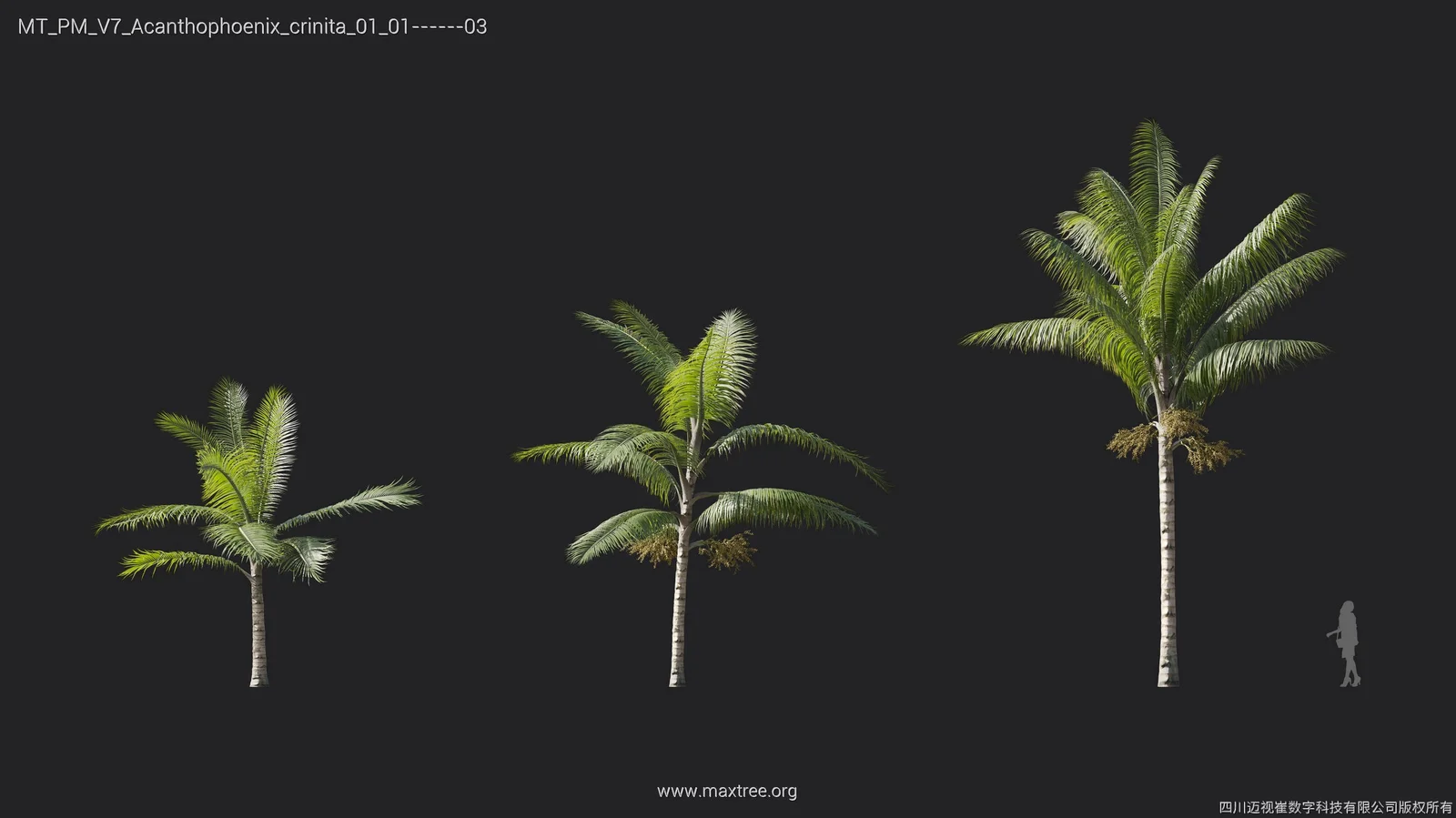 Plant Models Vol 7 screenshot 6