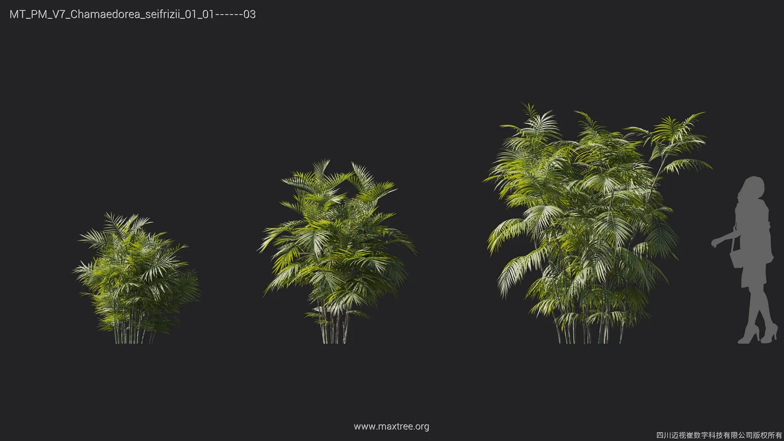 Plant Models Vol 7 screenshot 7