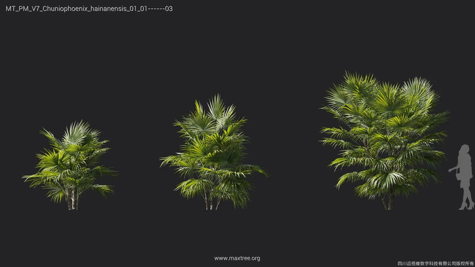 Plant Models Vol 7 screenshot 8