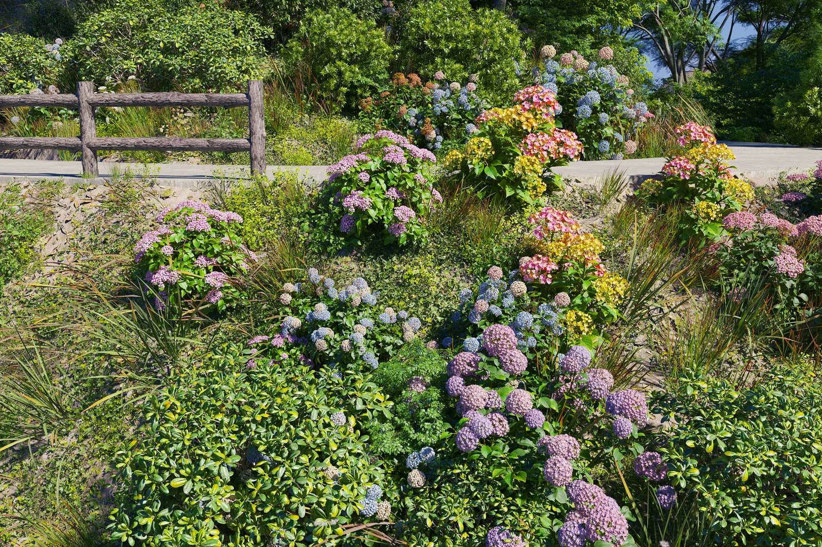 Plant Models Vol 70 screenshot 4