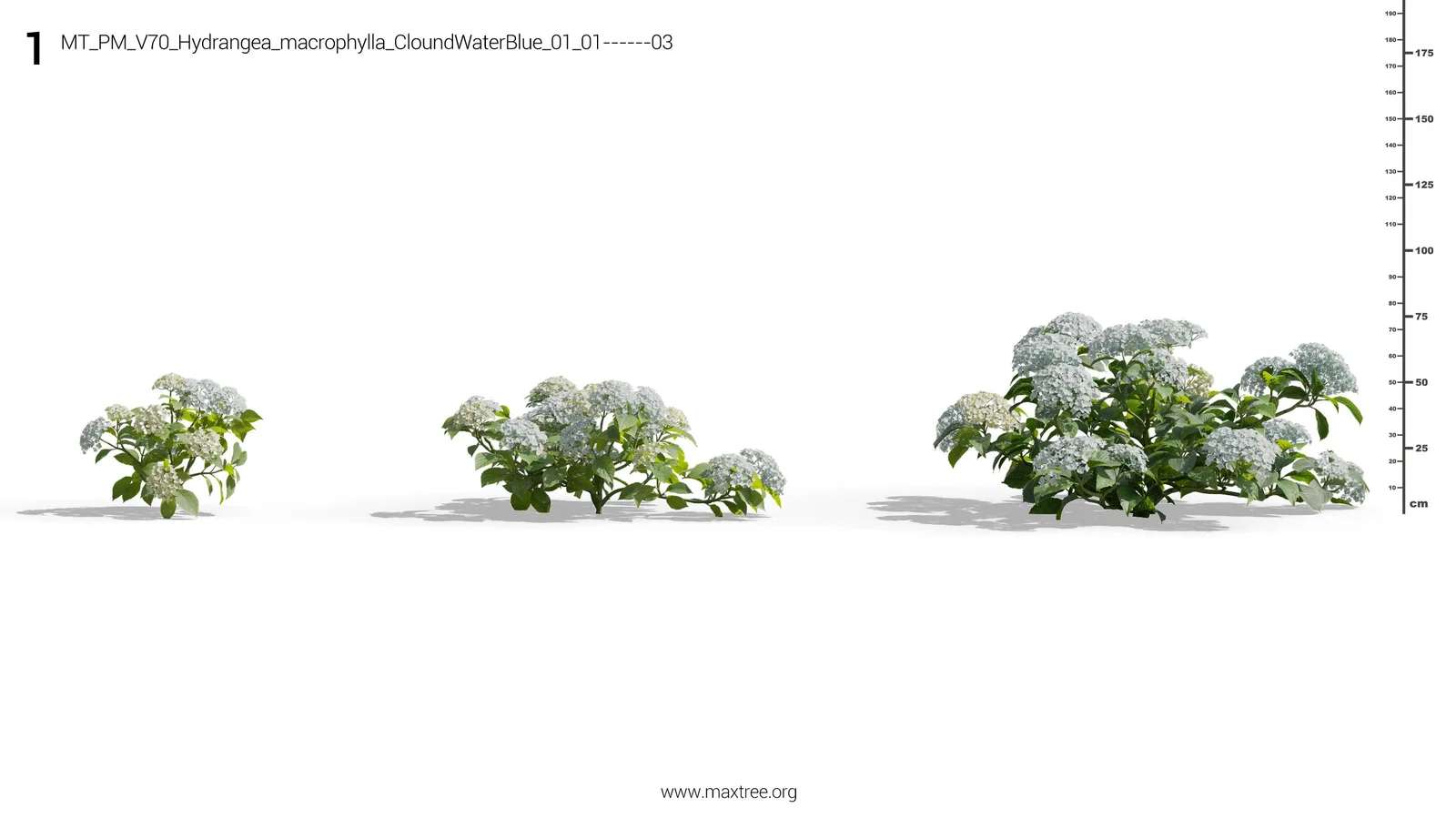 Plant Models Vol 70 screenshot 8