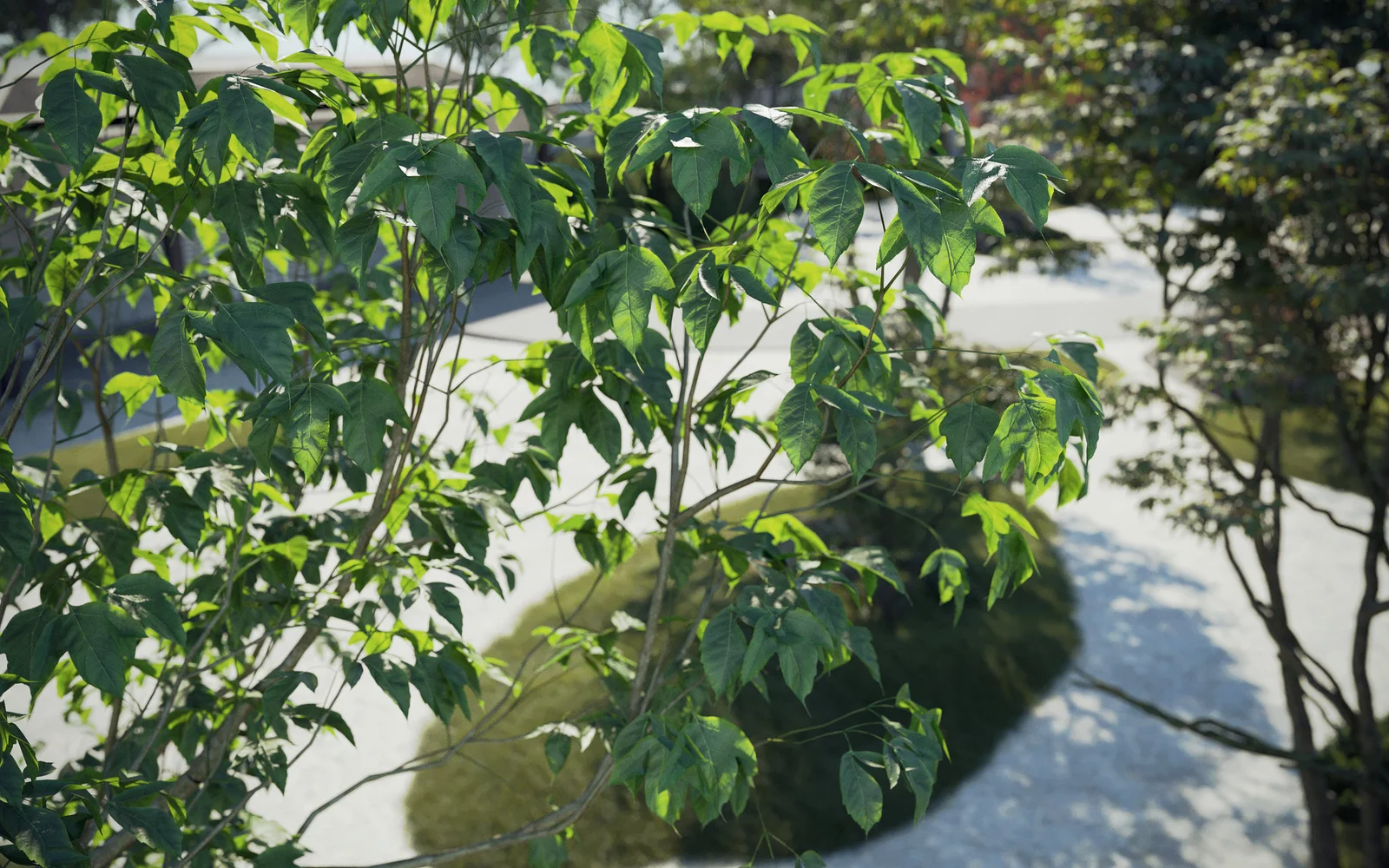 Maxtree Plant Models Vol 74 screenshot 3