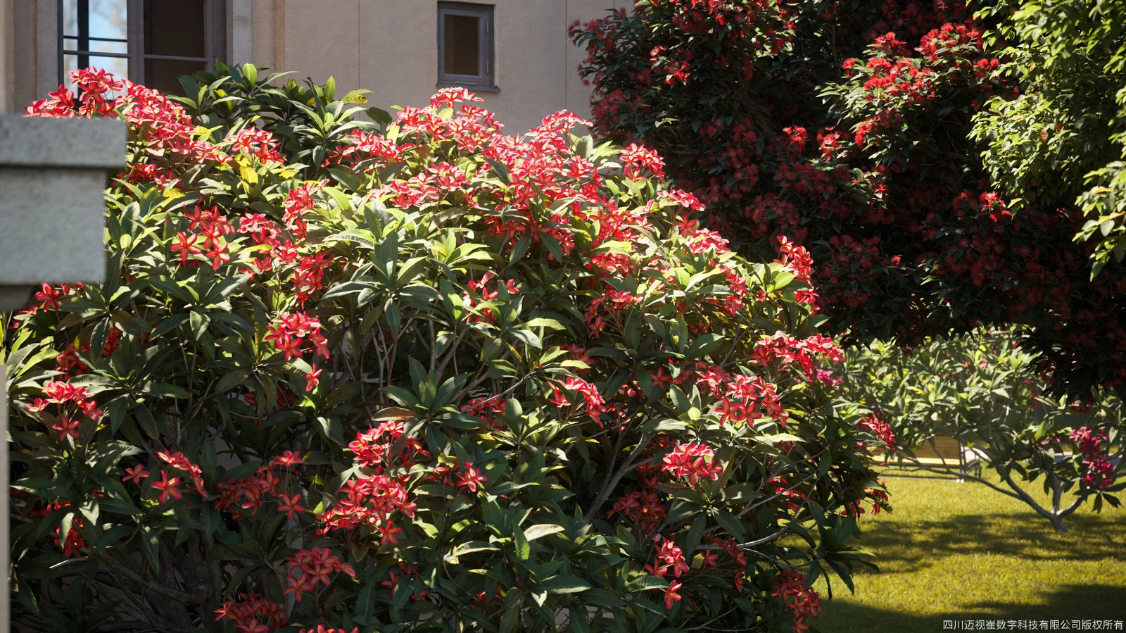 Plant Models Vol 87 screenshot 4