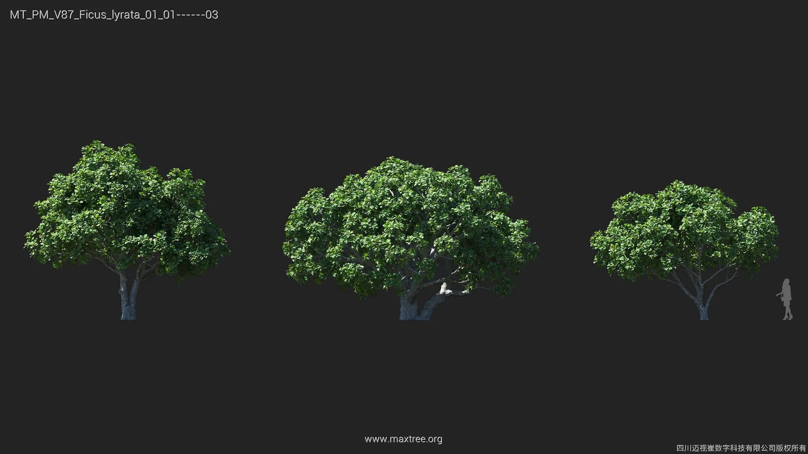 Plant Models Vol 87 screenshot 6