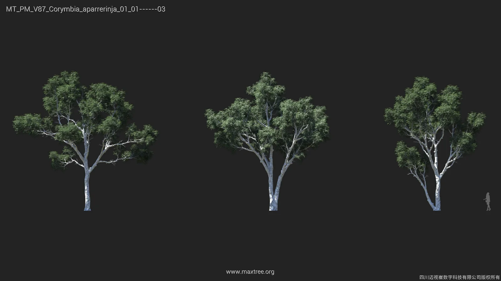 Plant Models Vol 87 screenshot 7
