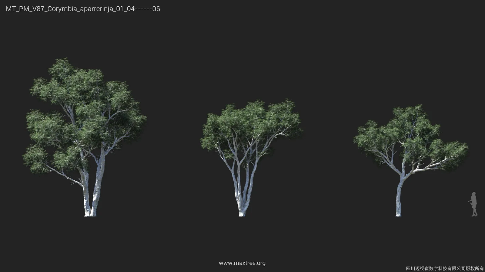 Plant Models Vol 87 screenshot 8