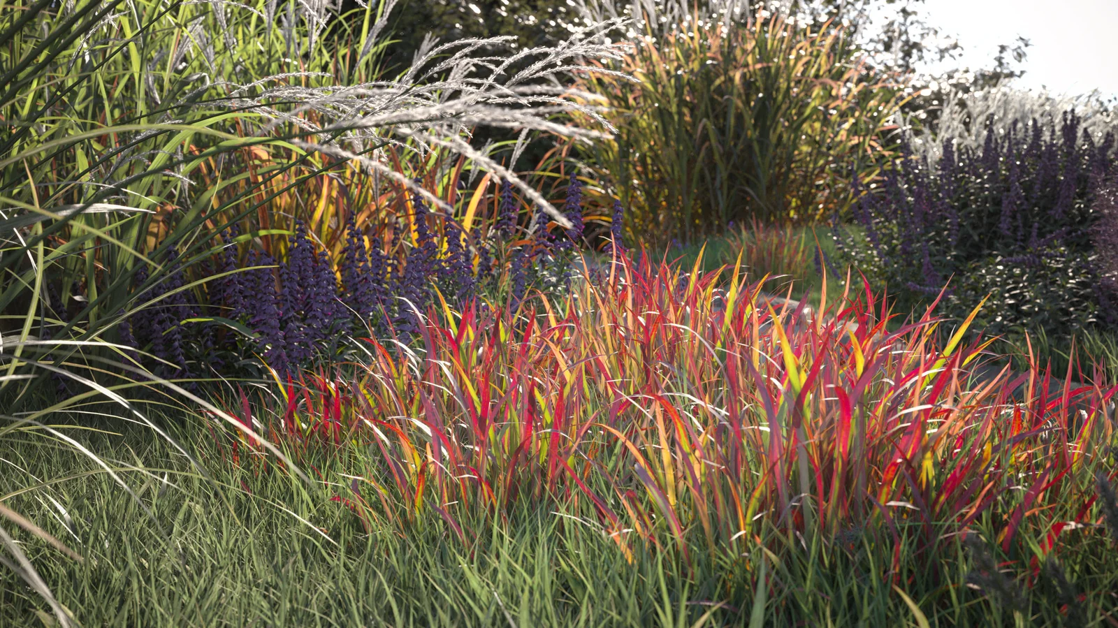 Maxtree Plant Models Vol 9 screenshot 2