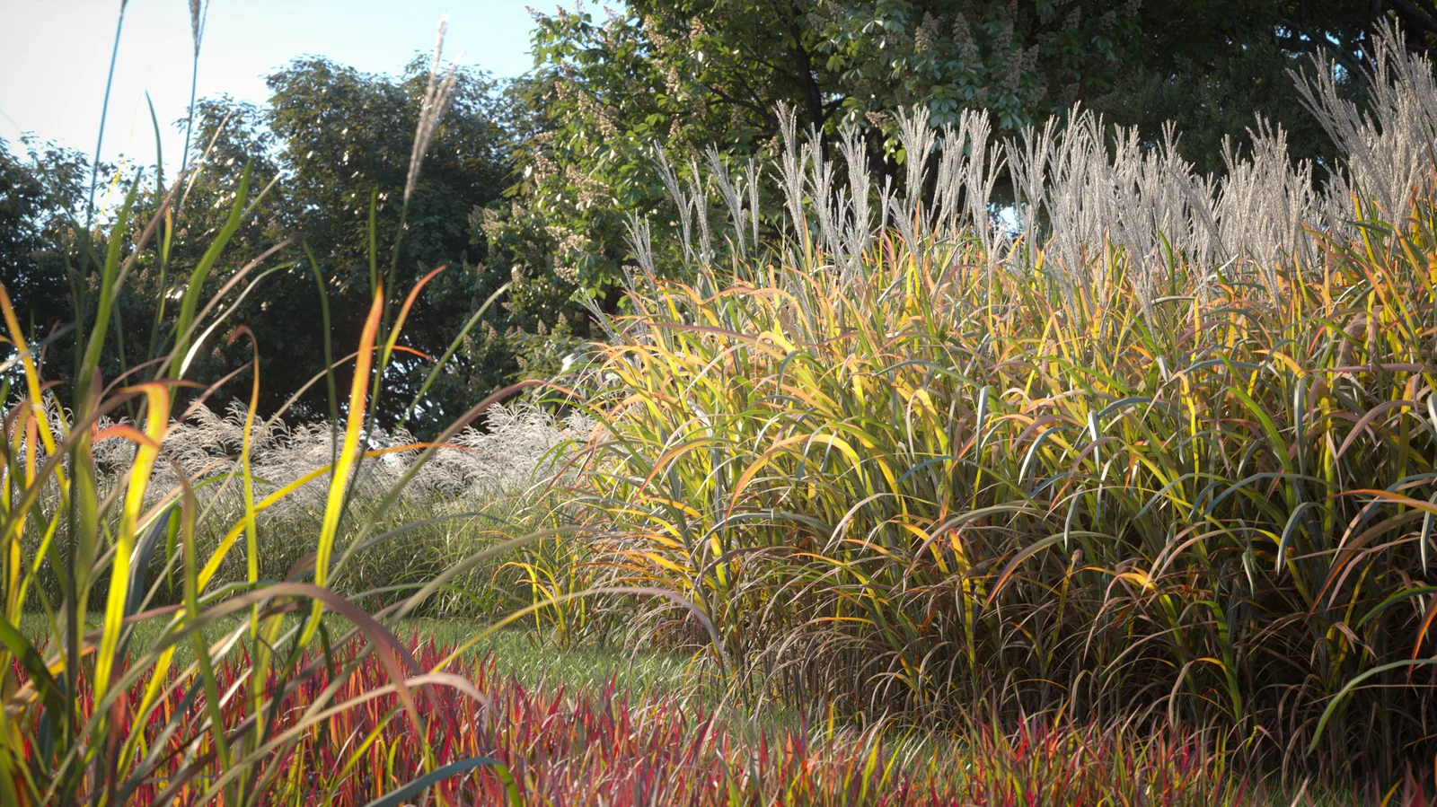 Maxtree Plant Models Vol 9 screenshot 3