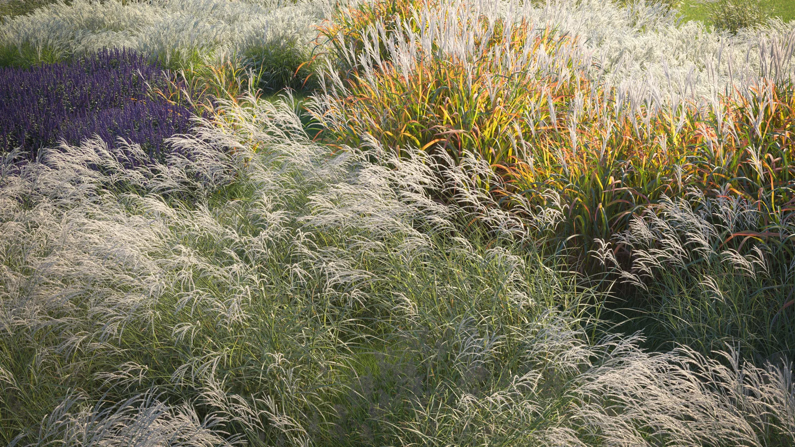 Maxtree Plant Models Vol 9 screenshot 4