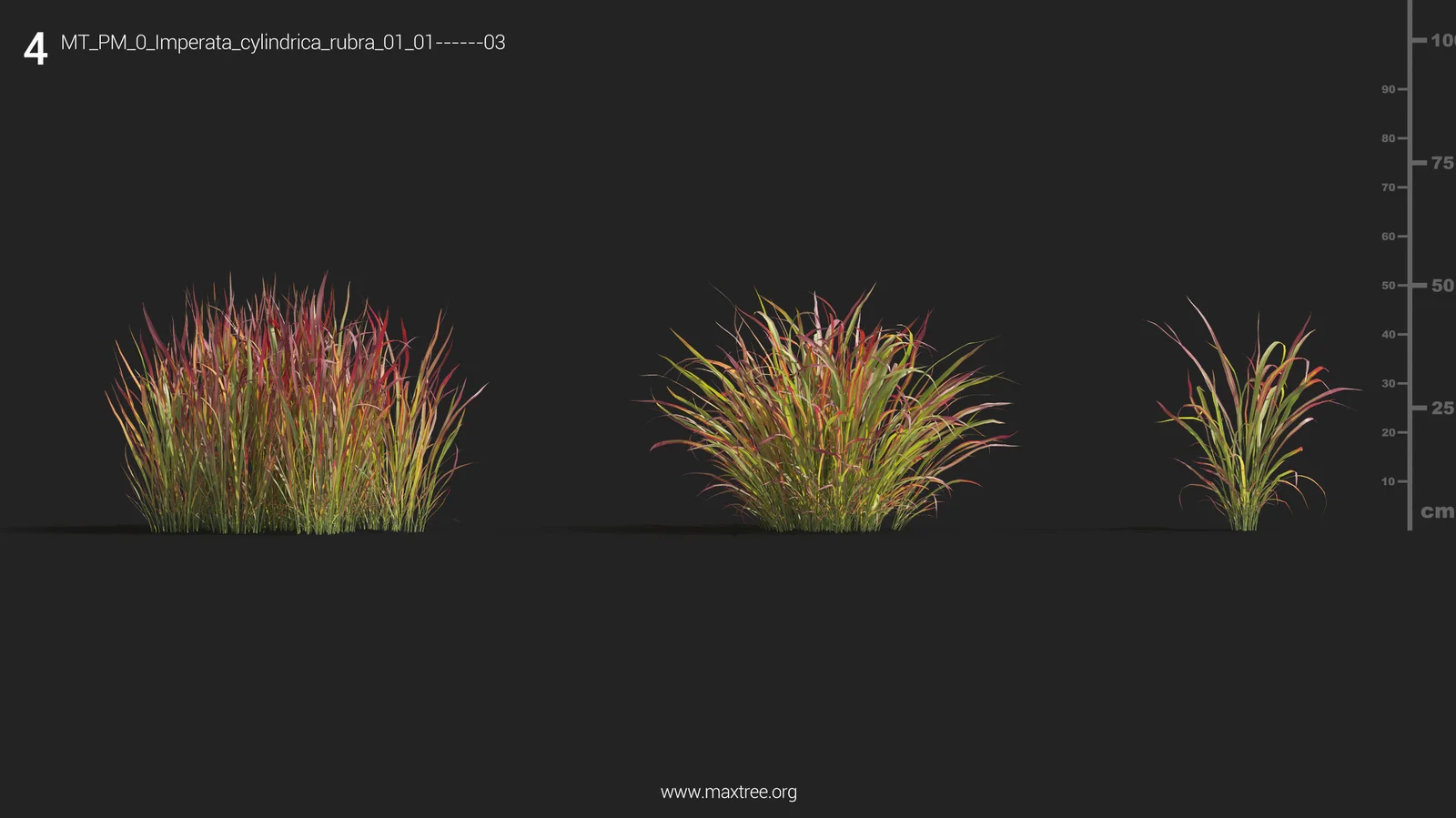 Maxtree Plant Models Vol 9 screenshot 6