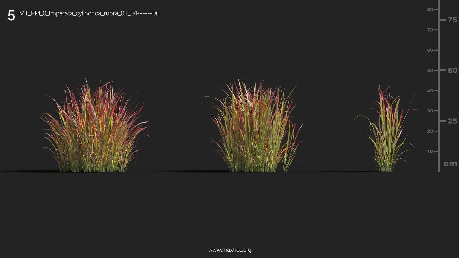 Maxtree Plant Models Vol 9 screenshot 8