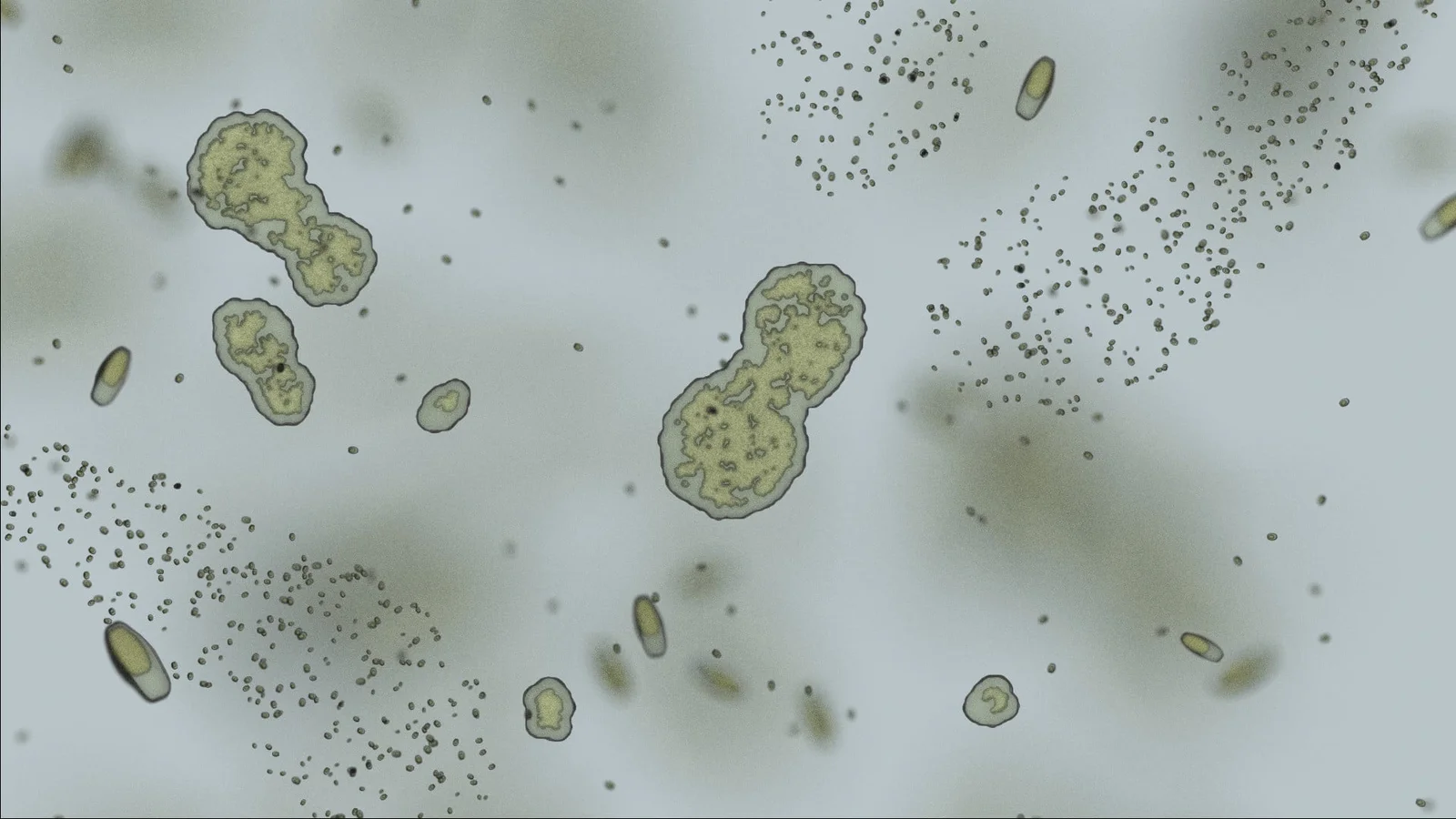 Microbial Demos screenshot 2