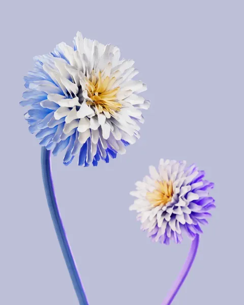 Modular Flower - Blender geometry nodes