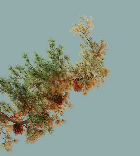 Modular Pine Tree - Blender geometry nodes