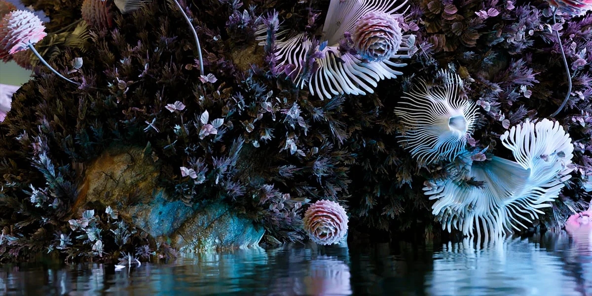 Mossify screenshot 3