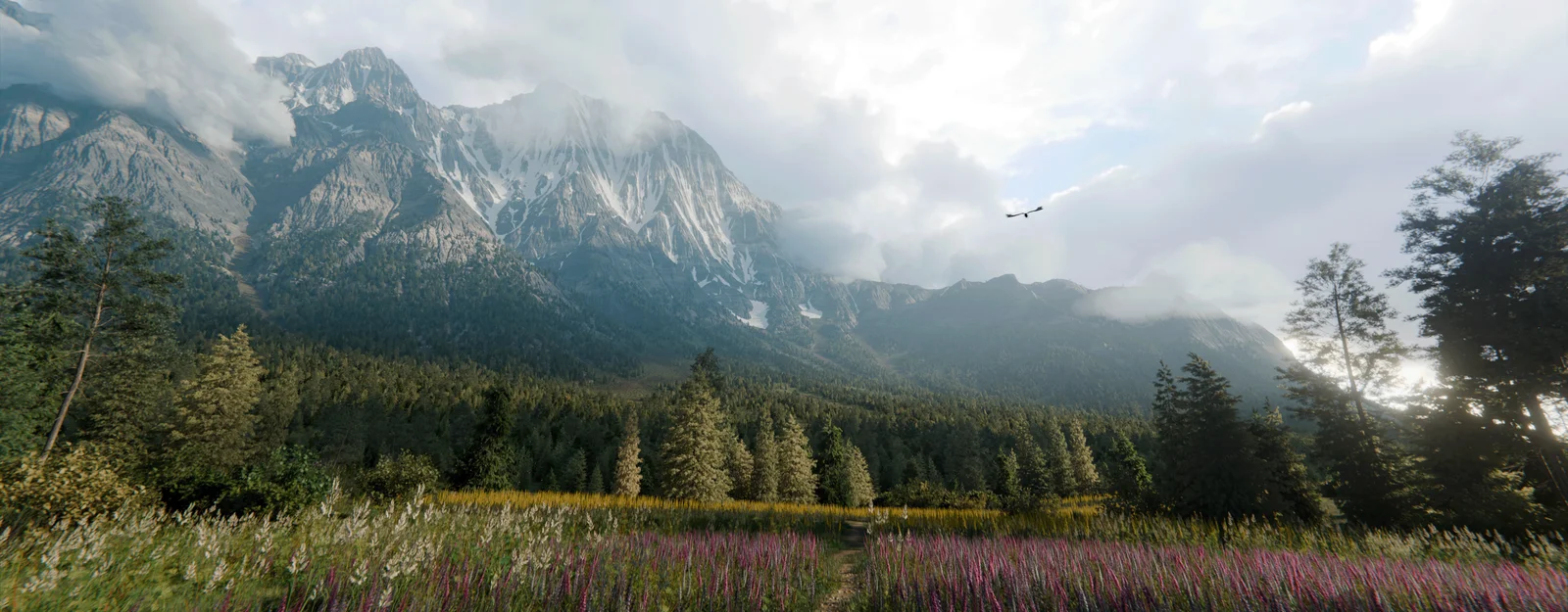 MP Scatter screenshot 2