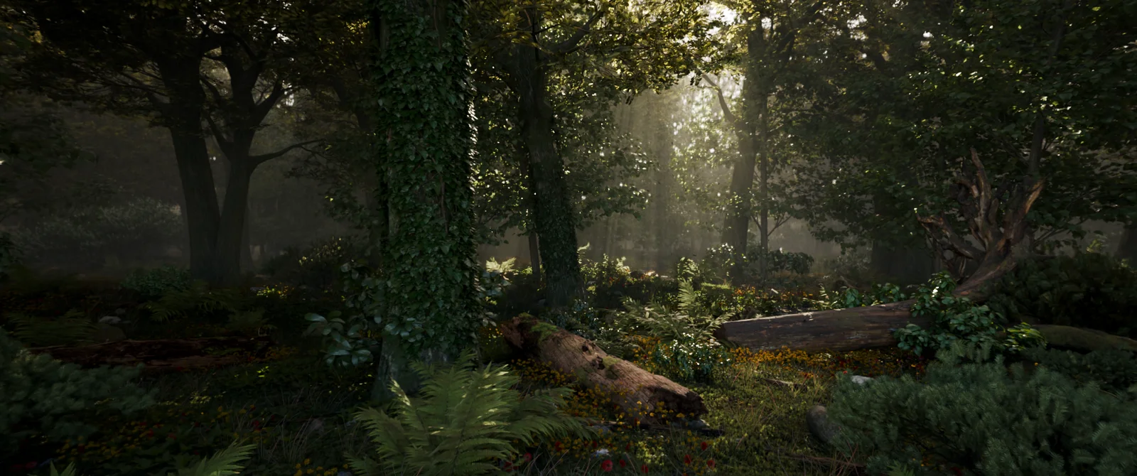 MP Scatter screenshot 7